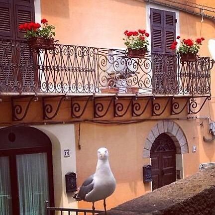 L'Appogghju Bed & Breakfast Castelsardo Luaran gambar