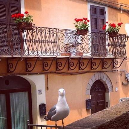 L'Appogghju Bed & Breakfast Castelsardo Luaran gambar